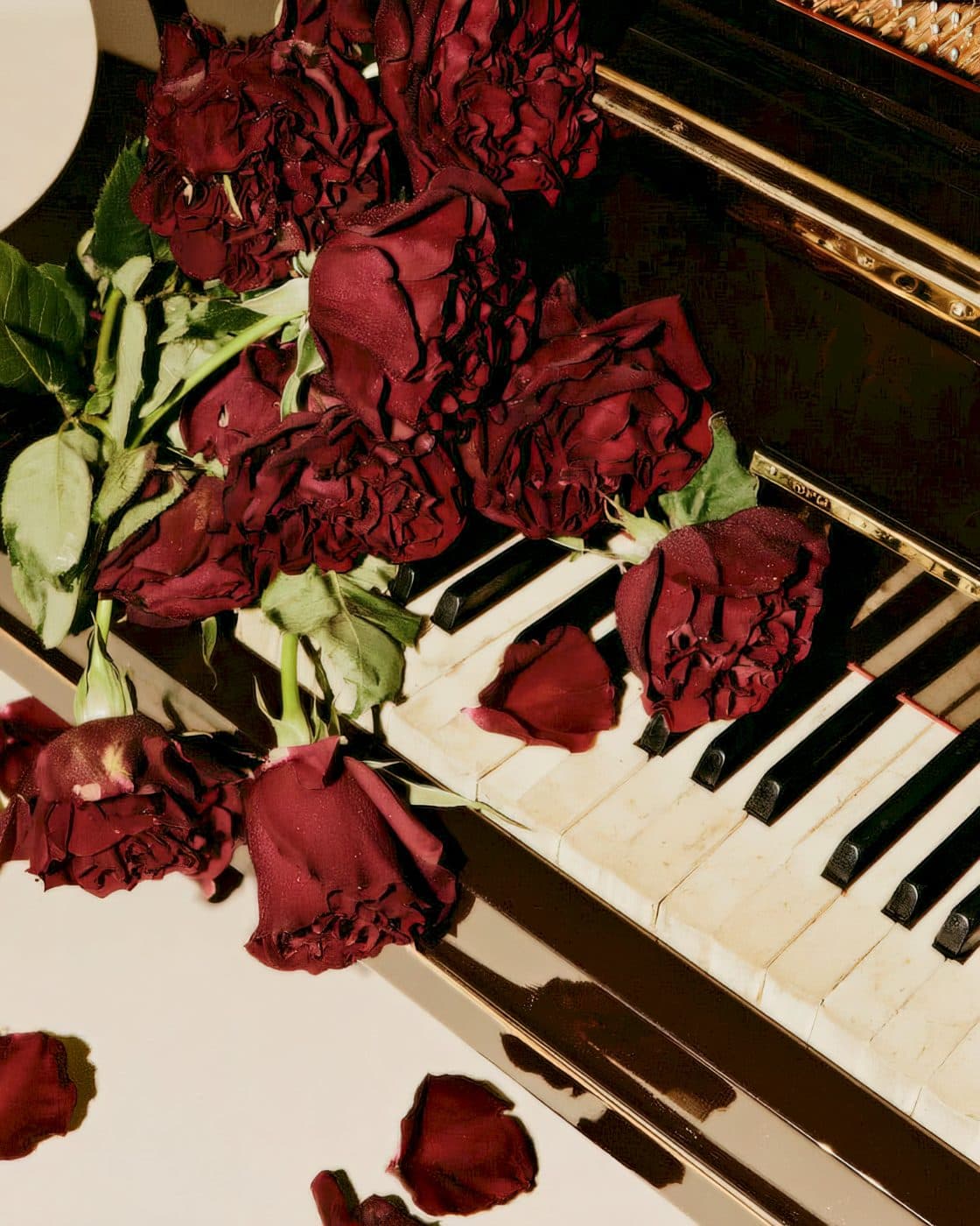 Piano and roses, editorial still life