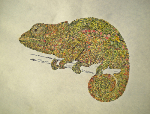 chameleon